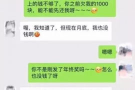 东莞为什么选择专业追讨公司来处理您的债务纠纷？